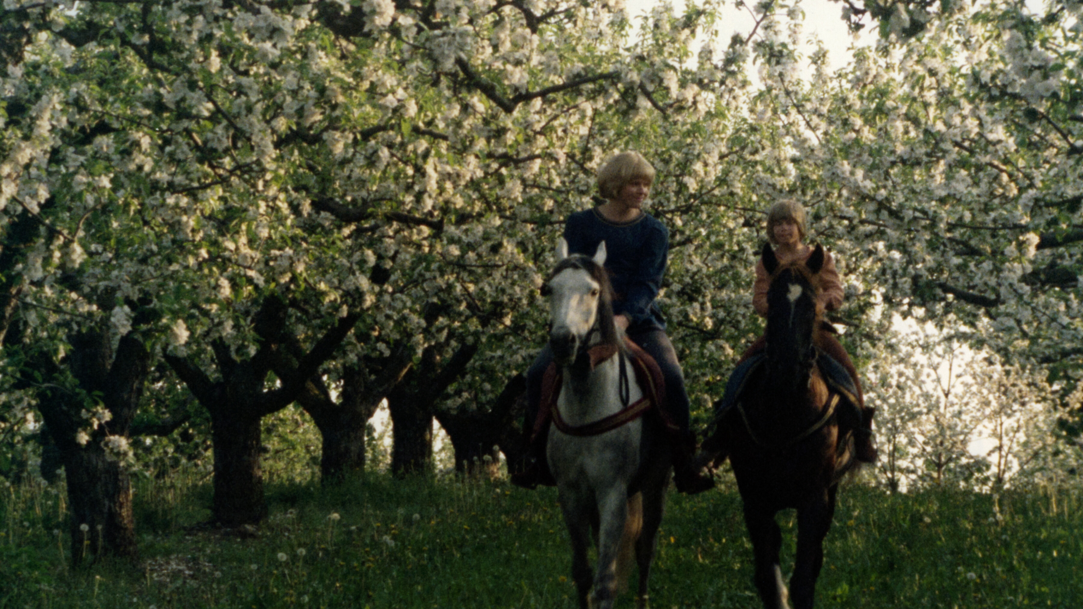 Backdrop for The Brothers Lionheart