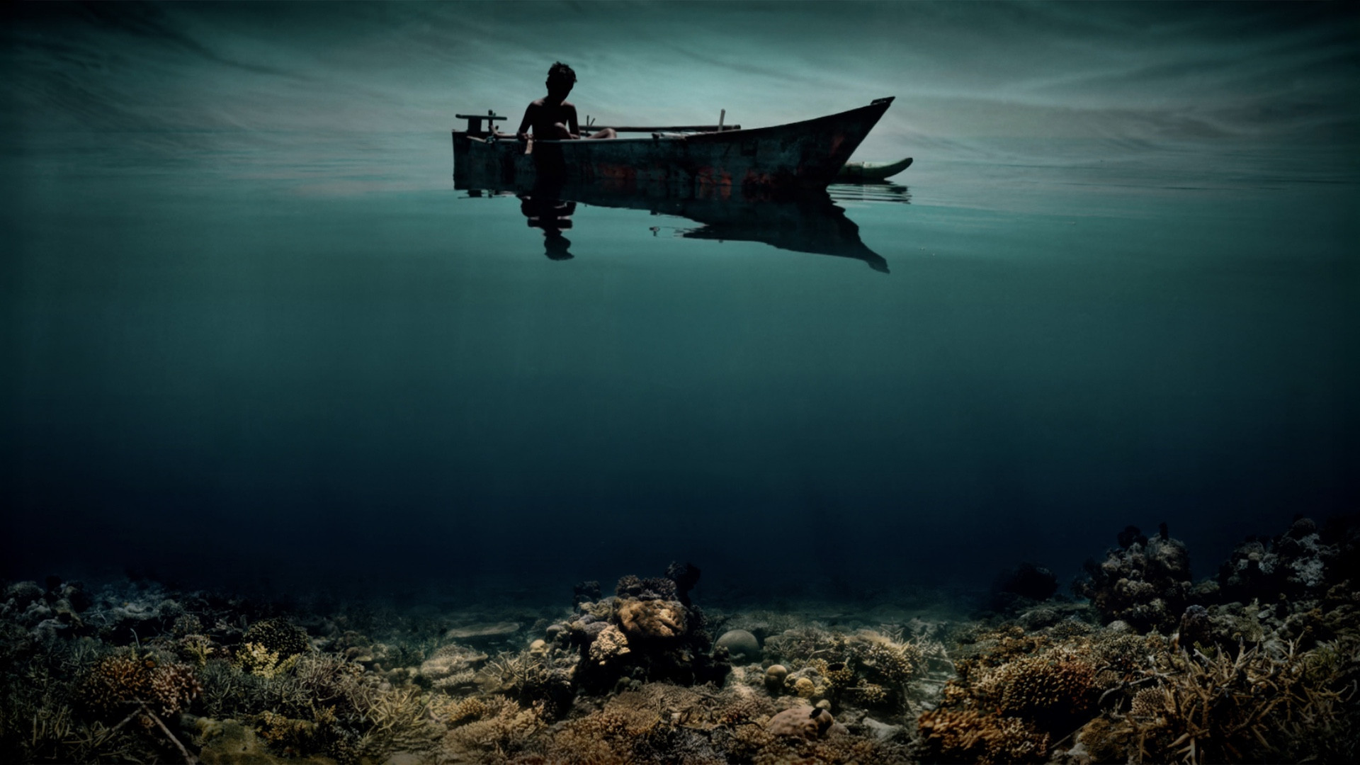 Backdrop for Reef Builders