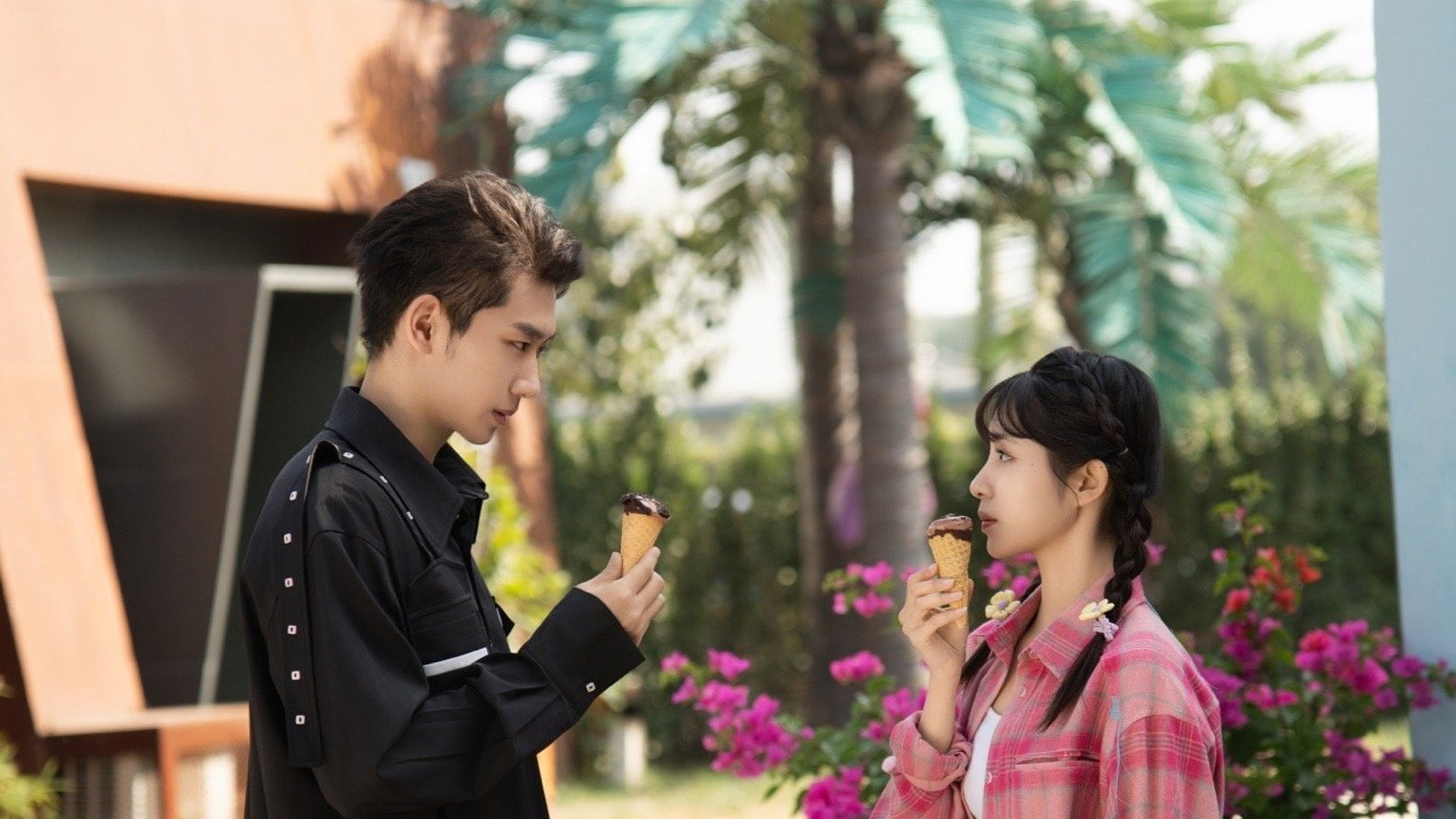 Backdrop for Lucky Stars Falling from the Sky