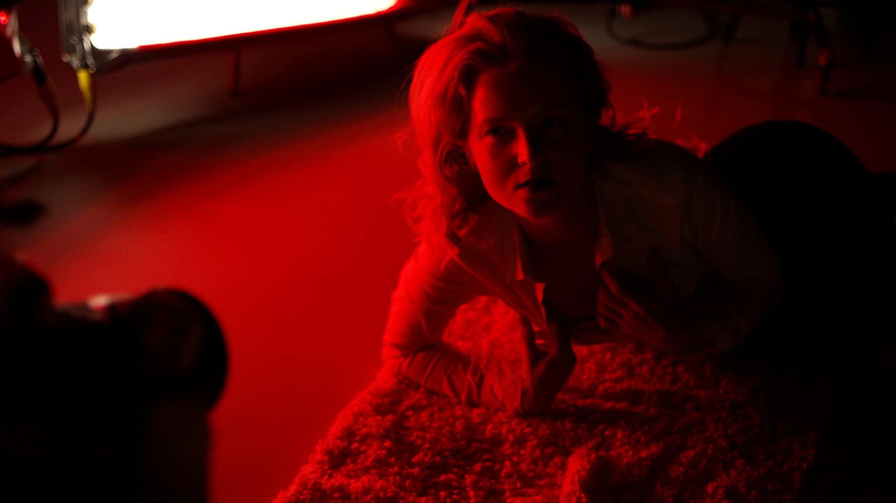 Backdrop for Photoshoot