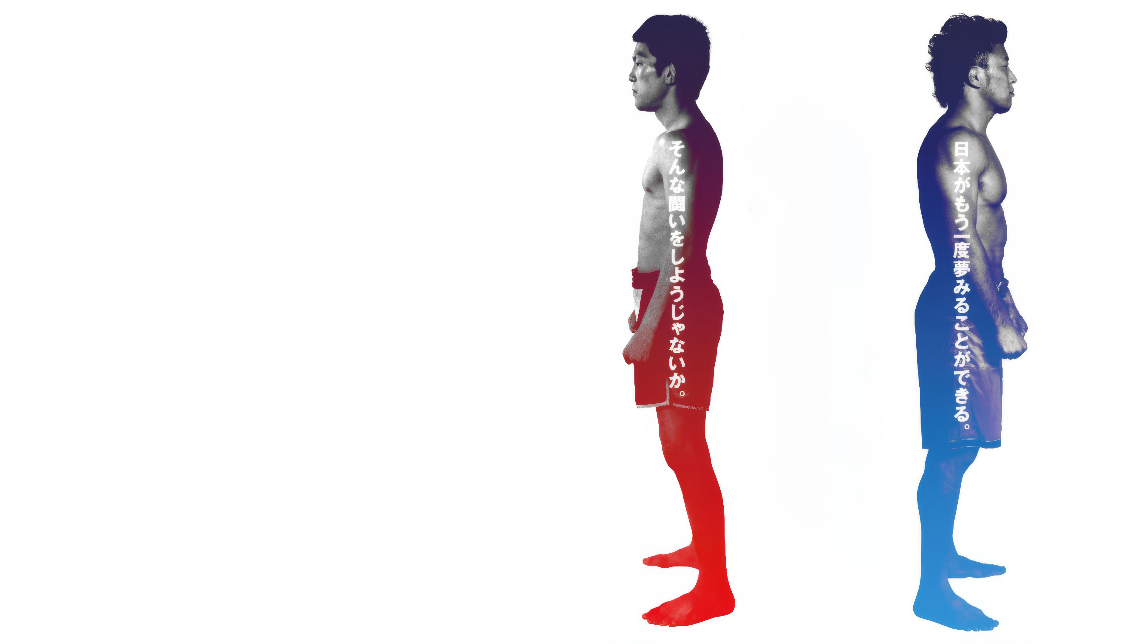 Backdrop for DREAM 15