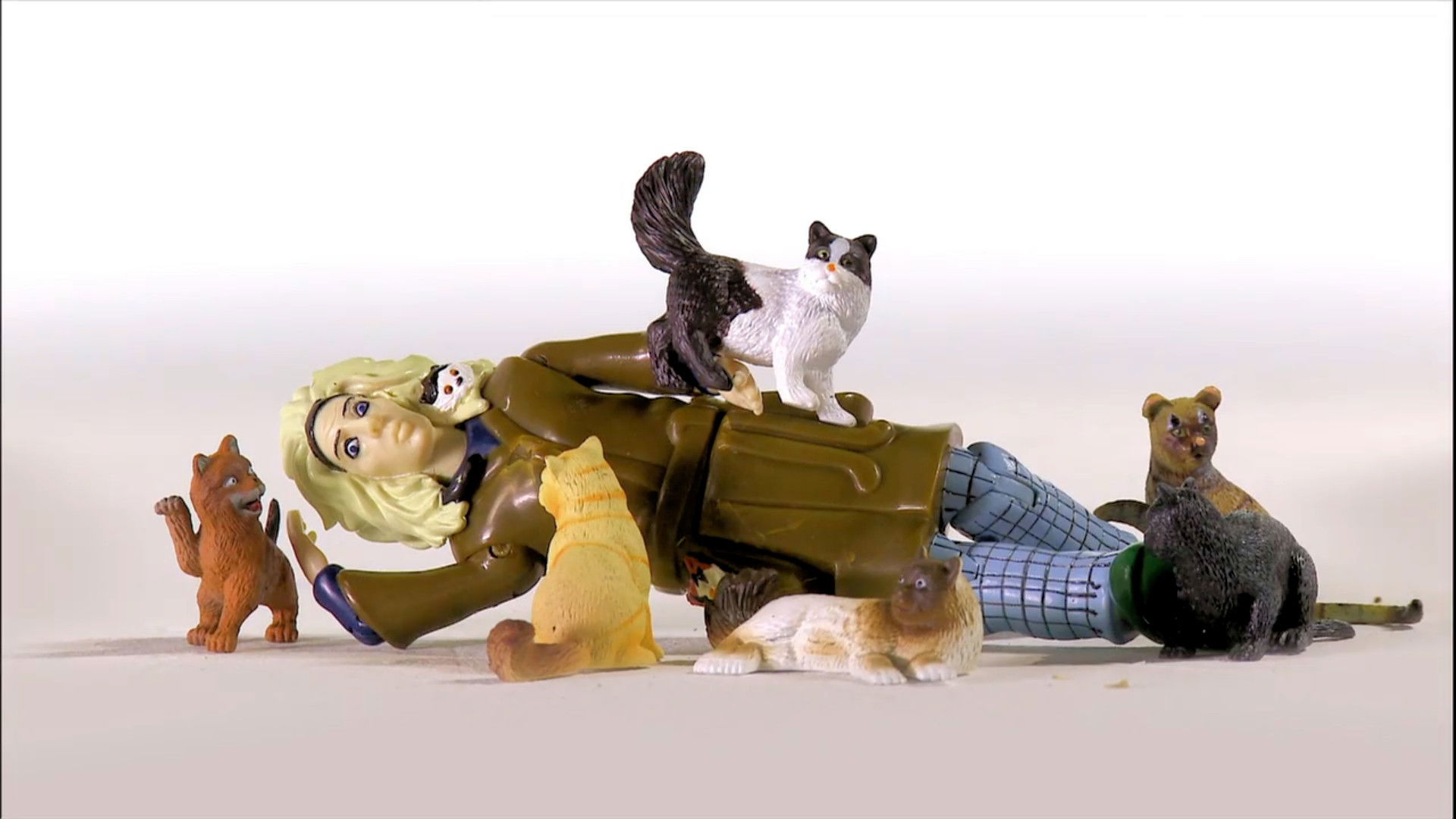 Backdrop for Cat Ladies