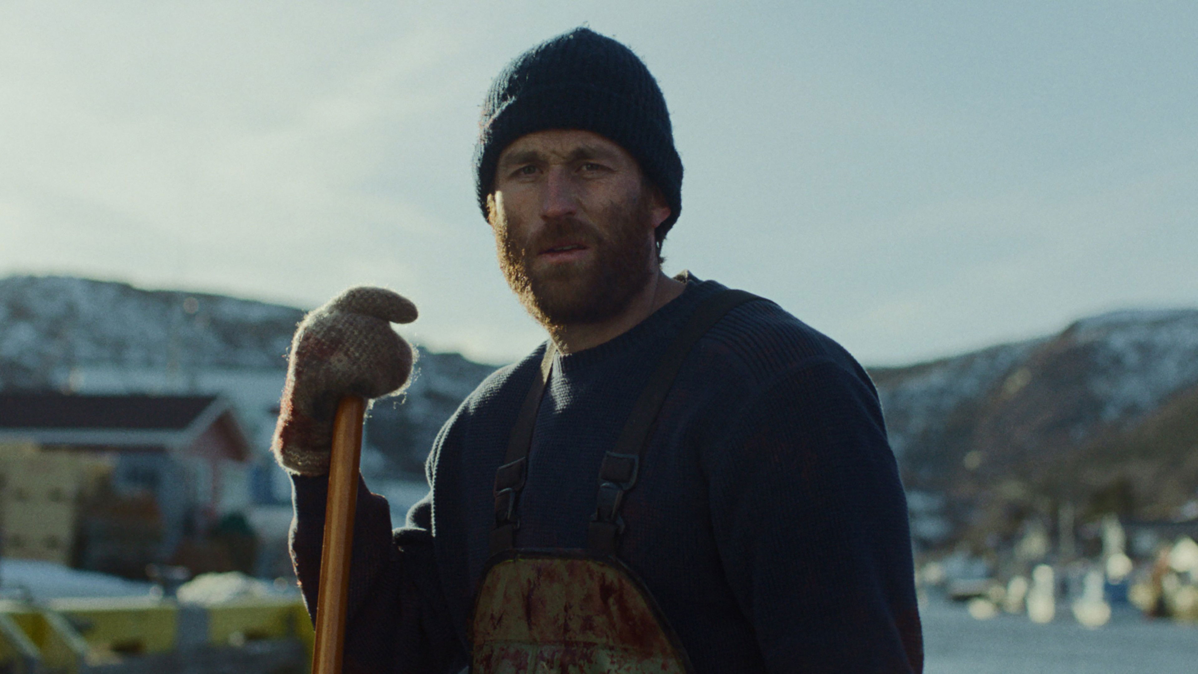 Backdrop for Hangashore