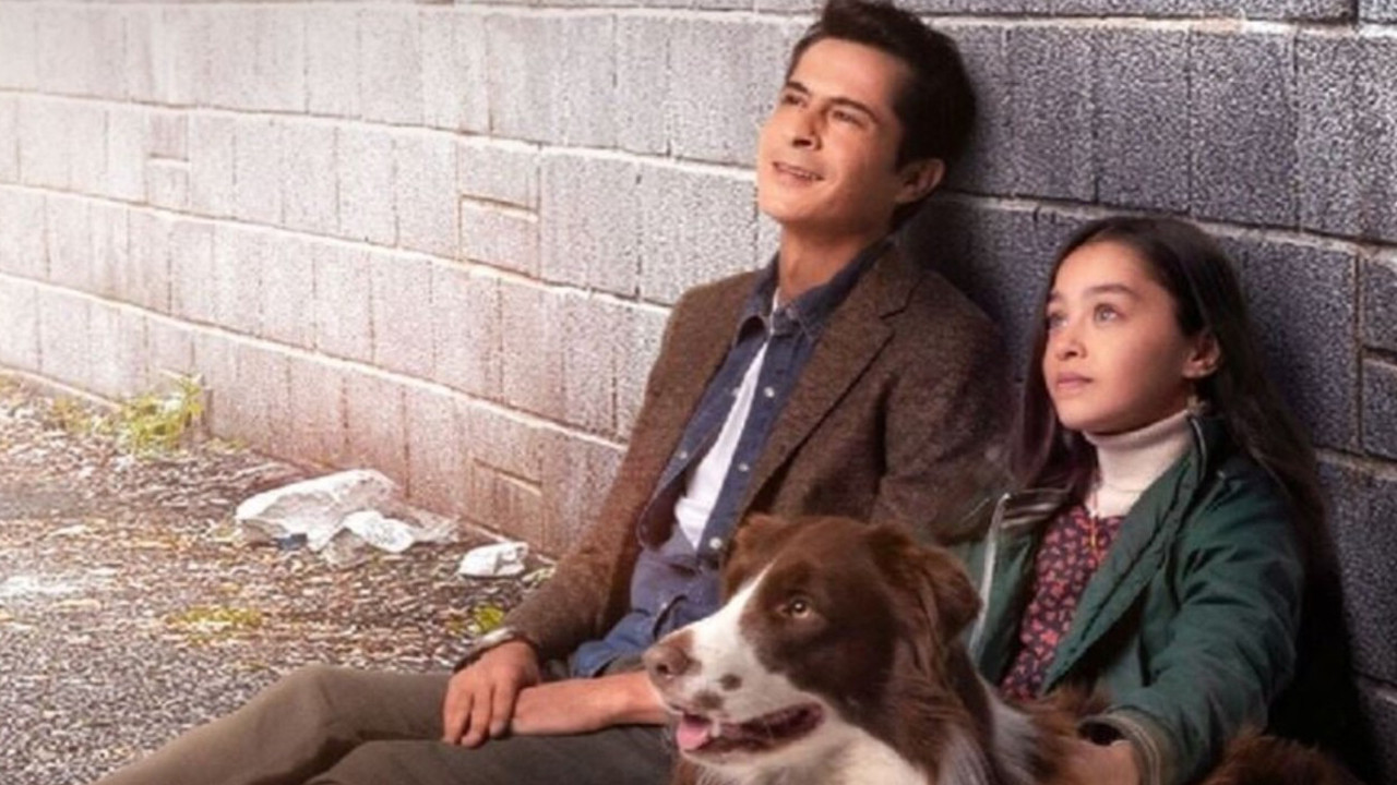 Backdrop for Taçsız Prenses