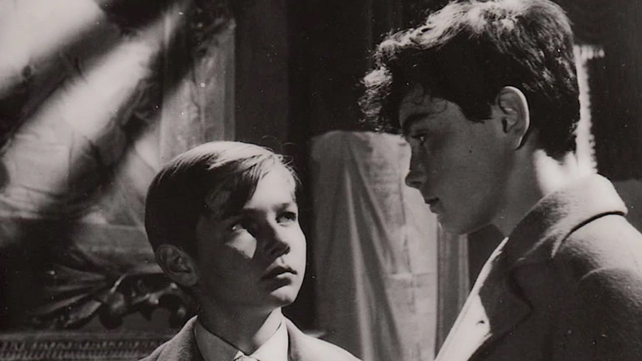 Backdrop for Friends for Life