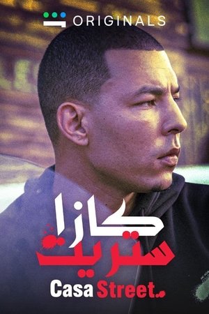 Poster for Miniseries