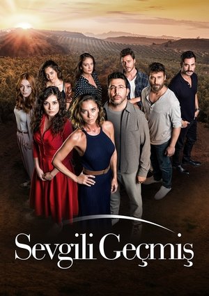 Poster for Season 1