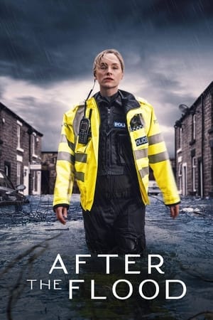 Poster for Series 1