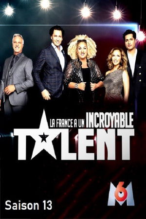 Poster for Season 13