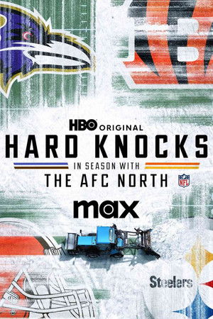 Poster for The AFC North