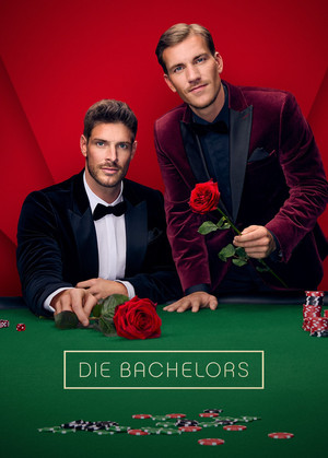 Poster for Season 15