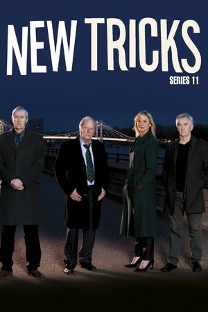 Poster for Series 11