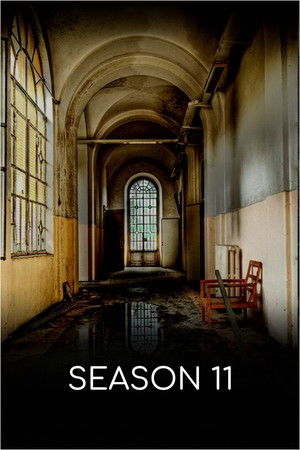 Poster for Season 11