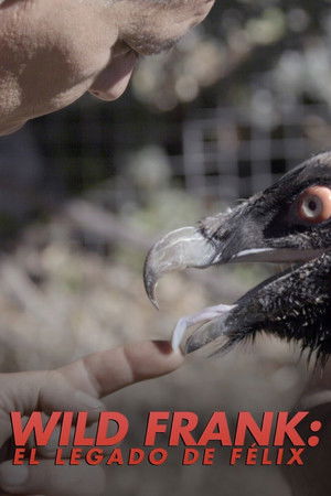 Poster for Season 17