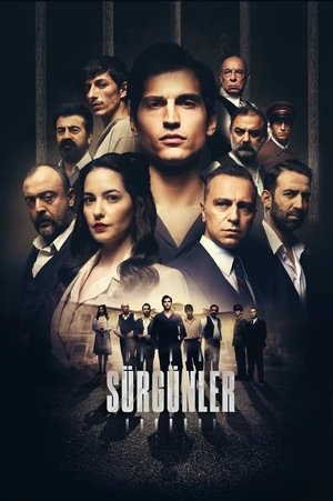 Poster for Season 1