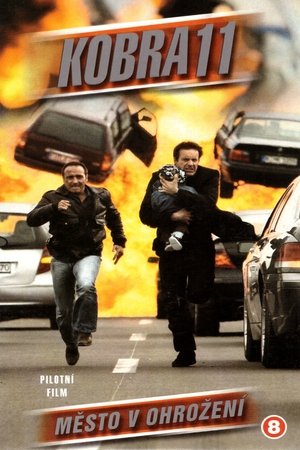 Poster for Season 23