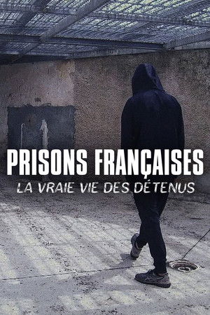 Poster for Season 29