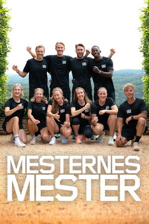 Poster for Season 17