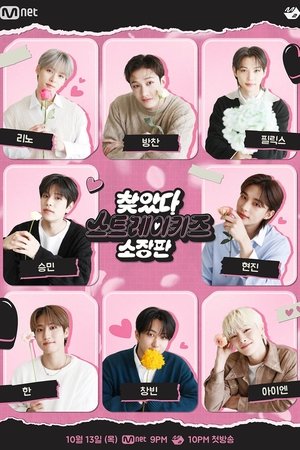 Poster for Finding SKZ Get Edition
