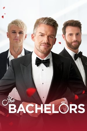 Poster for The Bachelors