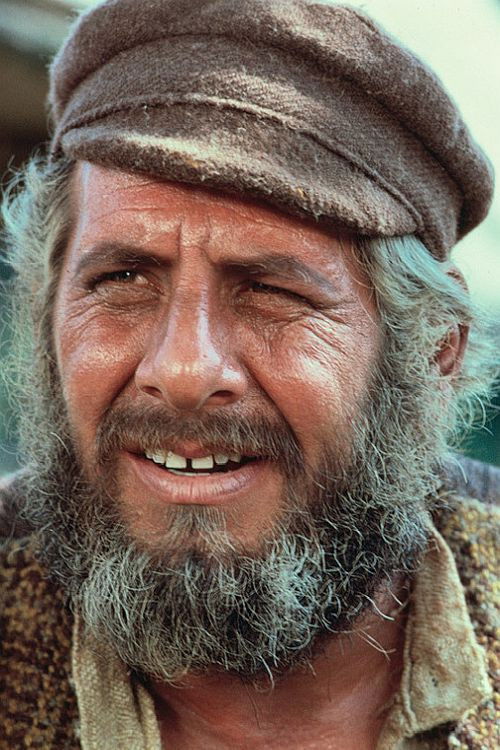 Photo of Chaim Topol