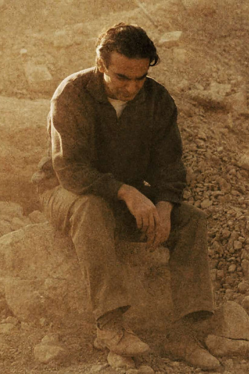 Photo of Homayoun Ershadi