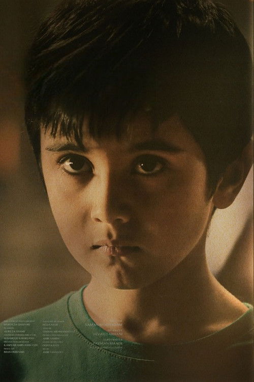 Photo of Mahoor Nemati