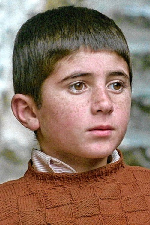 Photo of Babek Ahmed Poor