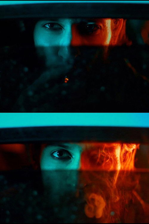 Photo of Bardia Mashhoodi