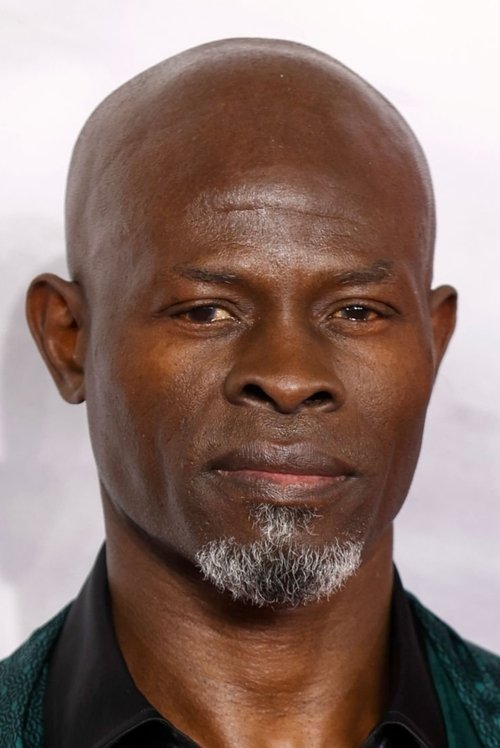 Photo of Djimon Hounsou