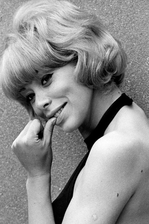 Photo of Mireille Darc