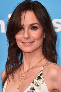 Photo of Sarah Wayne Callies