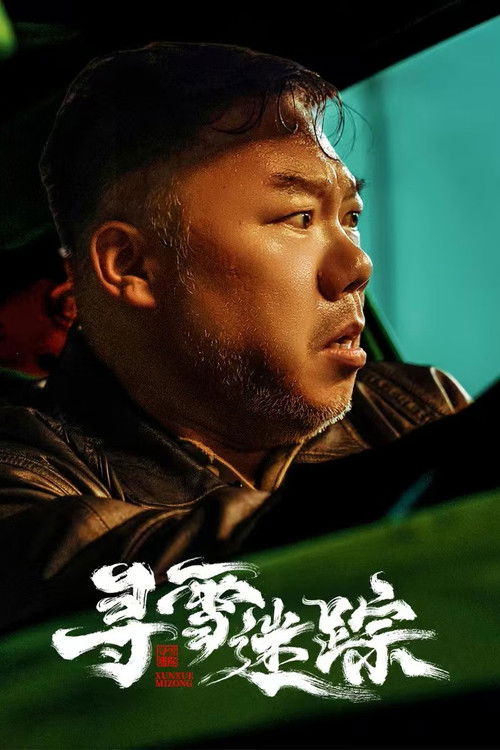 Poster for 寻雪迷踪