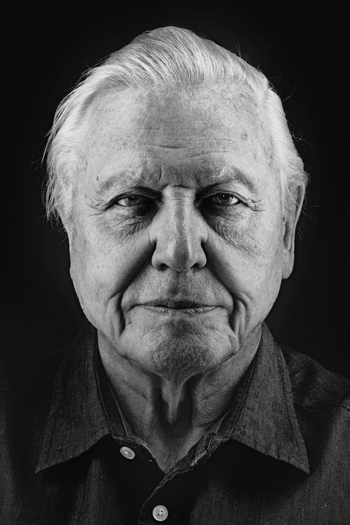 Photo of David Attenborough
